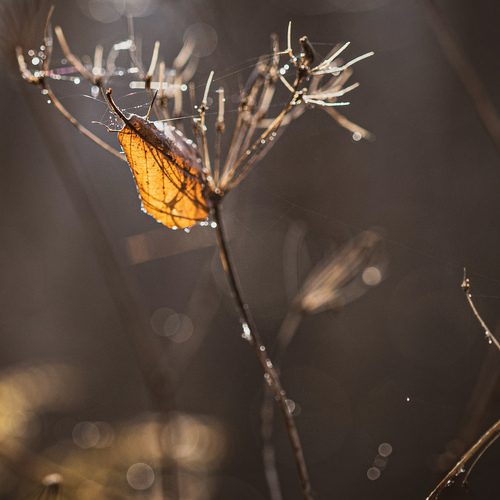Photo #14099622
