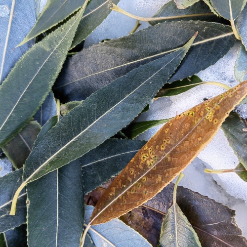 Photo #14099680