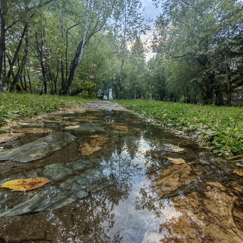 Photo #14099681