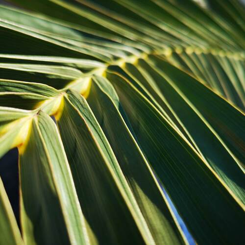 Photo #14099730