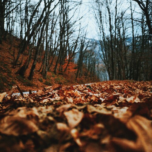Photo #14099732