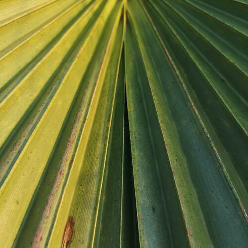 Photo #14099744