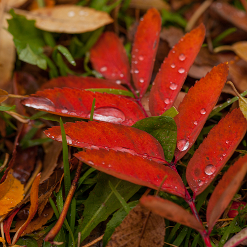 Photo #14099745