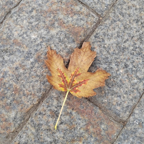 Photo #14099811