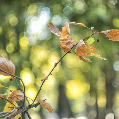 Photo #14099867