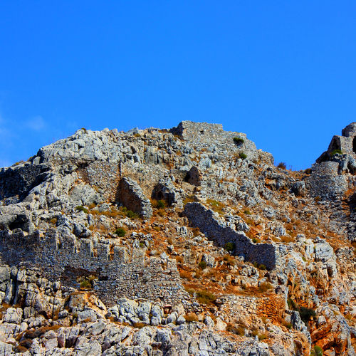 Photo #14099870