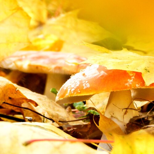 Photo #14099872