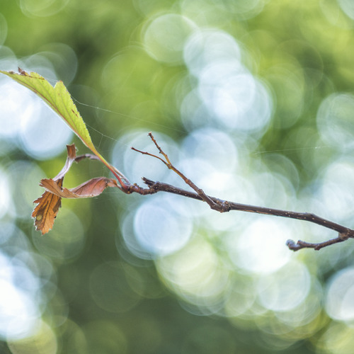 Photo #14099881