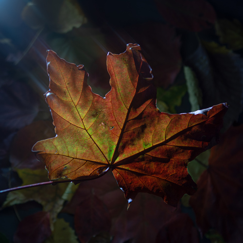 Photo #14099895