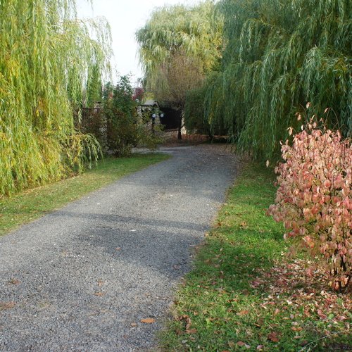 Photo #14099902