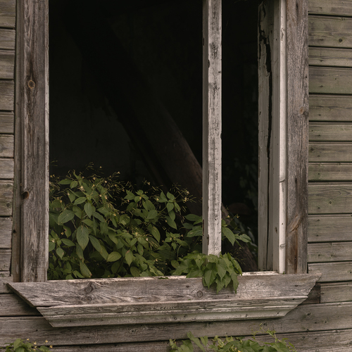 Photo #14099945