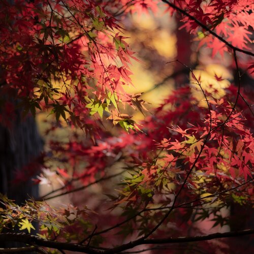 Photo #14099948