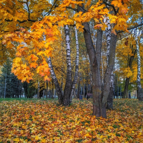 Photo #14099967