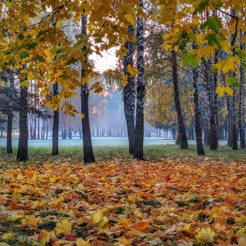 Photo #14099968