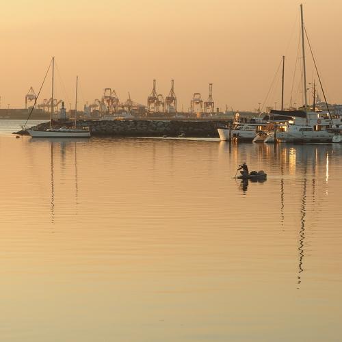 A Raft Among the Yachts