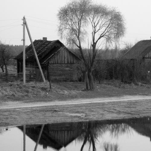 ива
