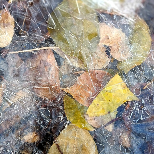 Photo #14100095