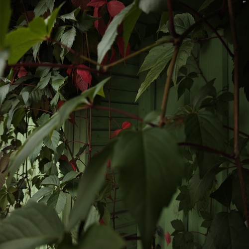 Photo #14100107