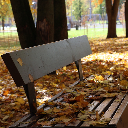 Photo #14100132
