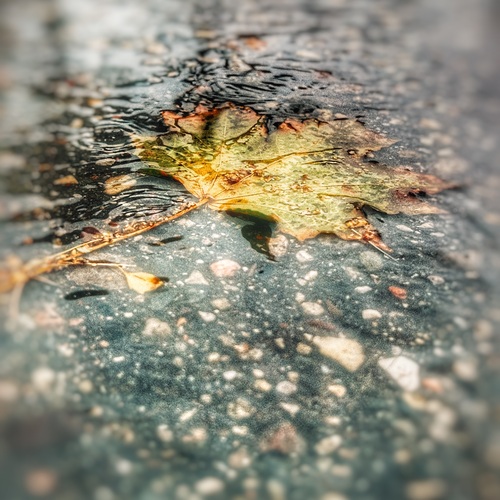 Photo #14100207