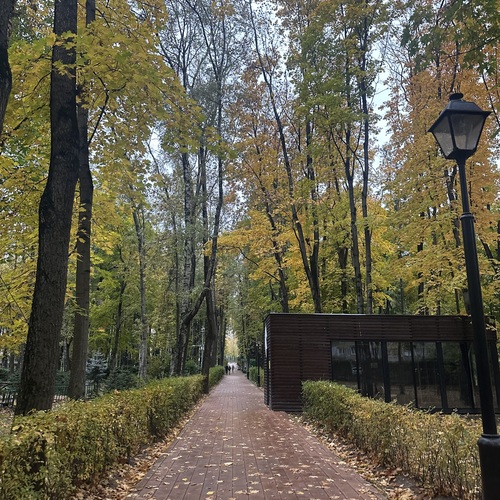 Фотография #14100232