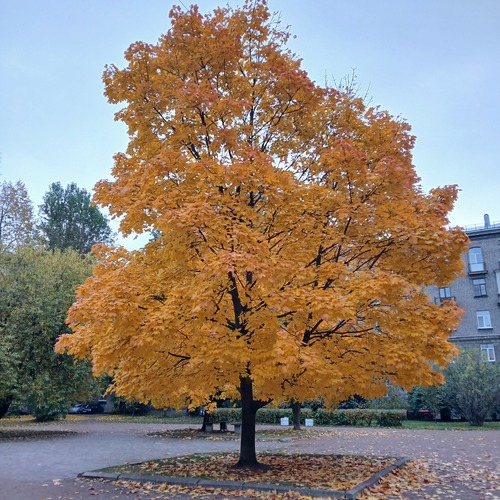 Photo #14100238