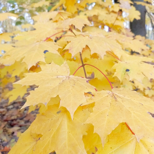 Photo #14100252