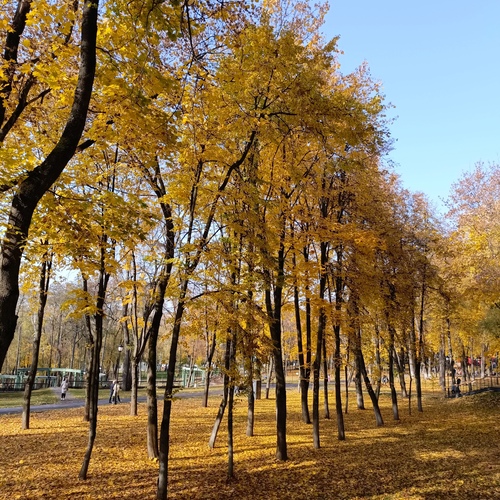 Photo #14100253