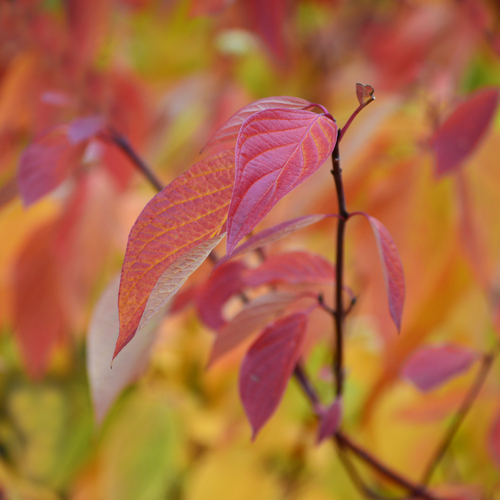 Photo #14100292