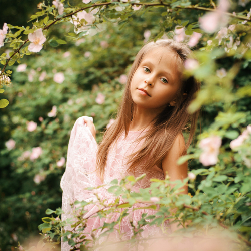 Photo #14100296