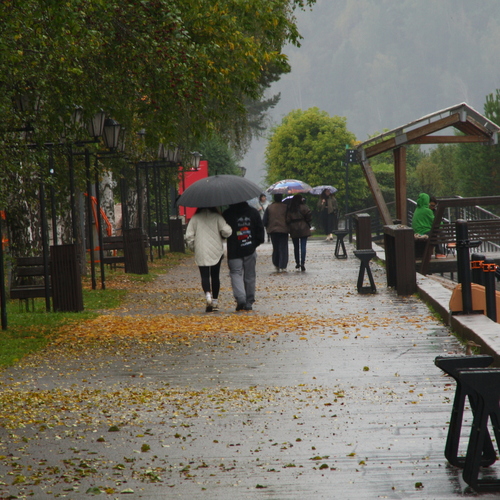 Photo #14100330