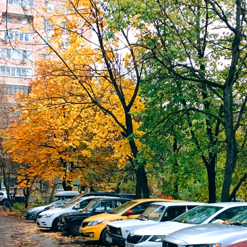 Фотография #14100346