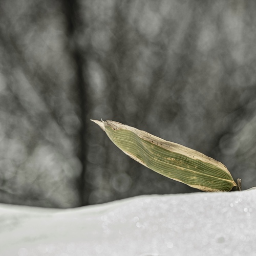 Photo #14100356
