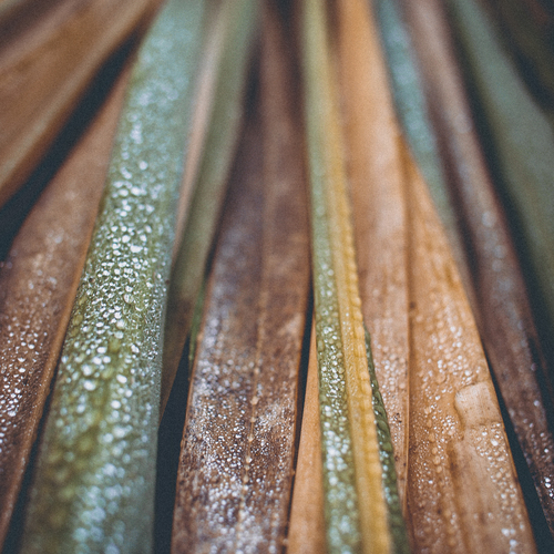 Photo #14100403