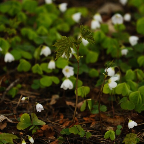 Photo #14100537