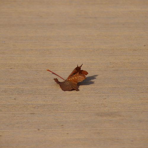 Photo #14100541