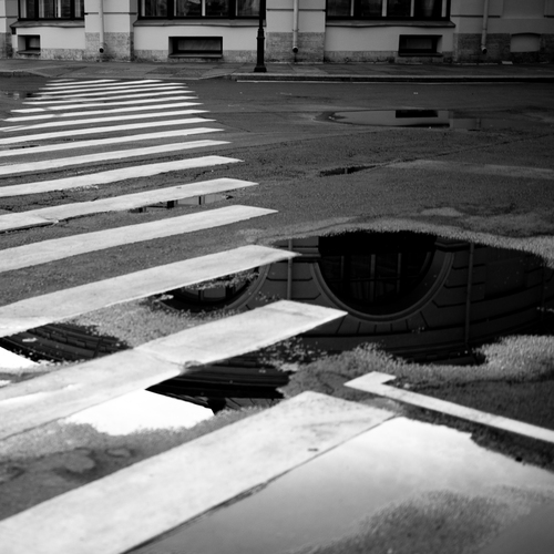 Photo #14100542