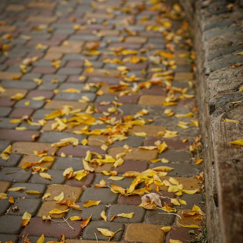 Photo #14100543