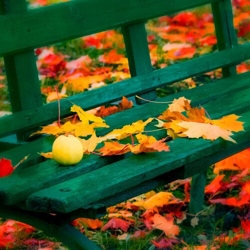 Photo #14100555
