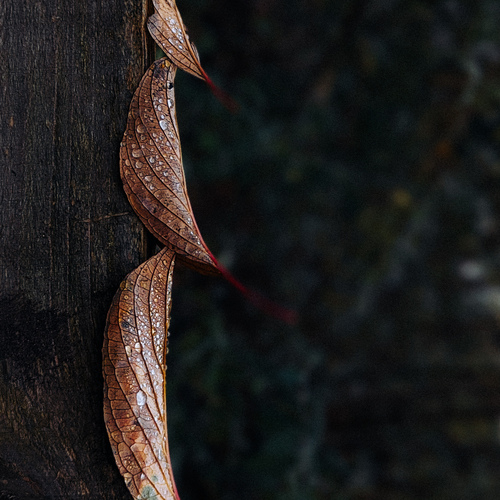 Photo #14100561