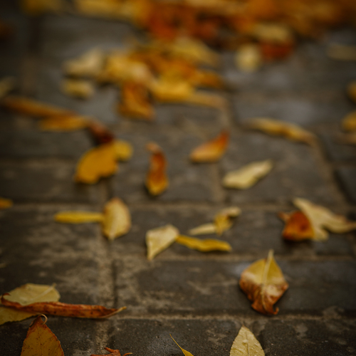 Photo #14100563