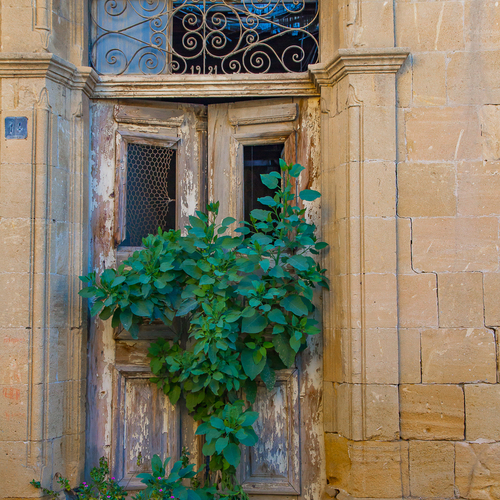 Photo #14100564