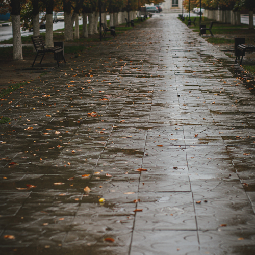 Photo #14100574