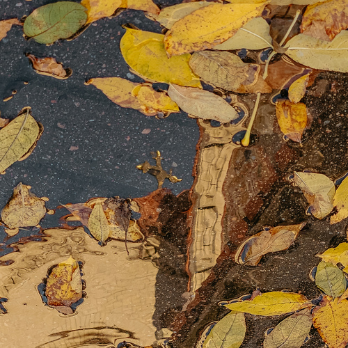 Photo #14100583