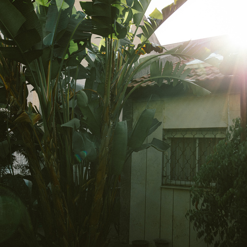 Photo #14100640