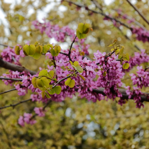 Photo #14100644