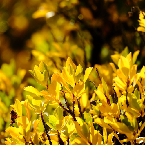 Photo #14100654