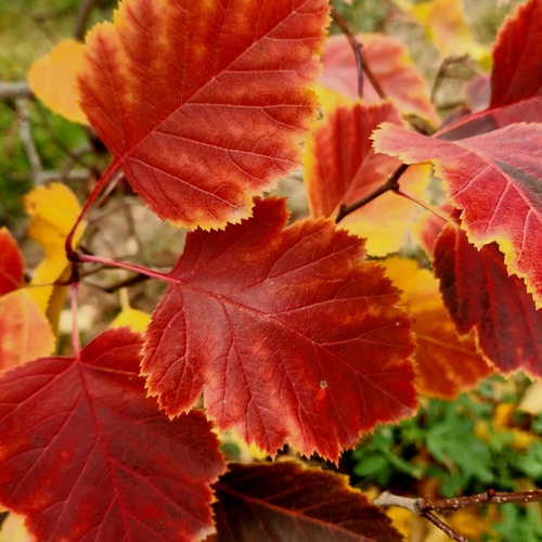 Photo #14100663