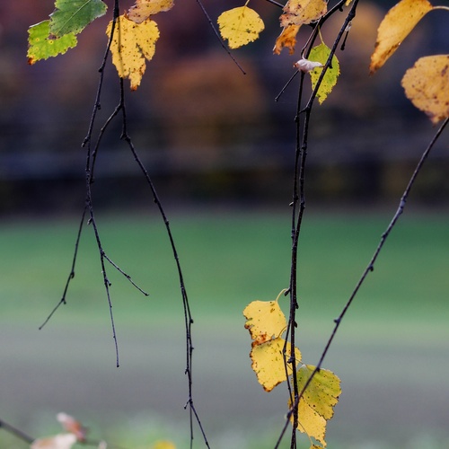 Photo #14100760