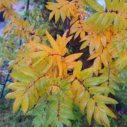 Photo #14100762